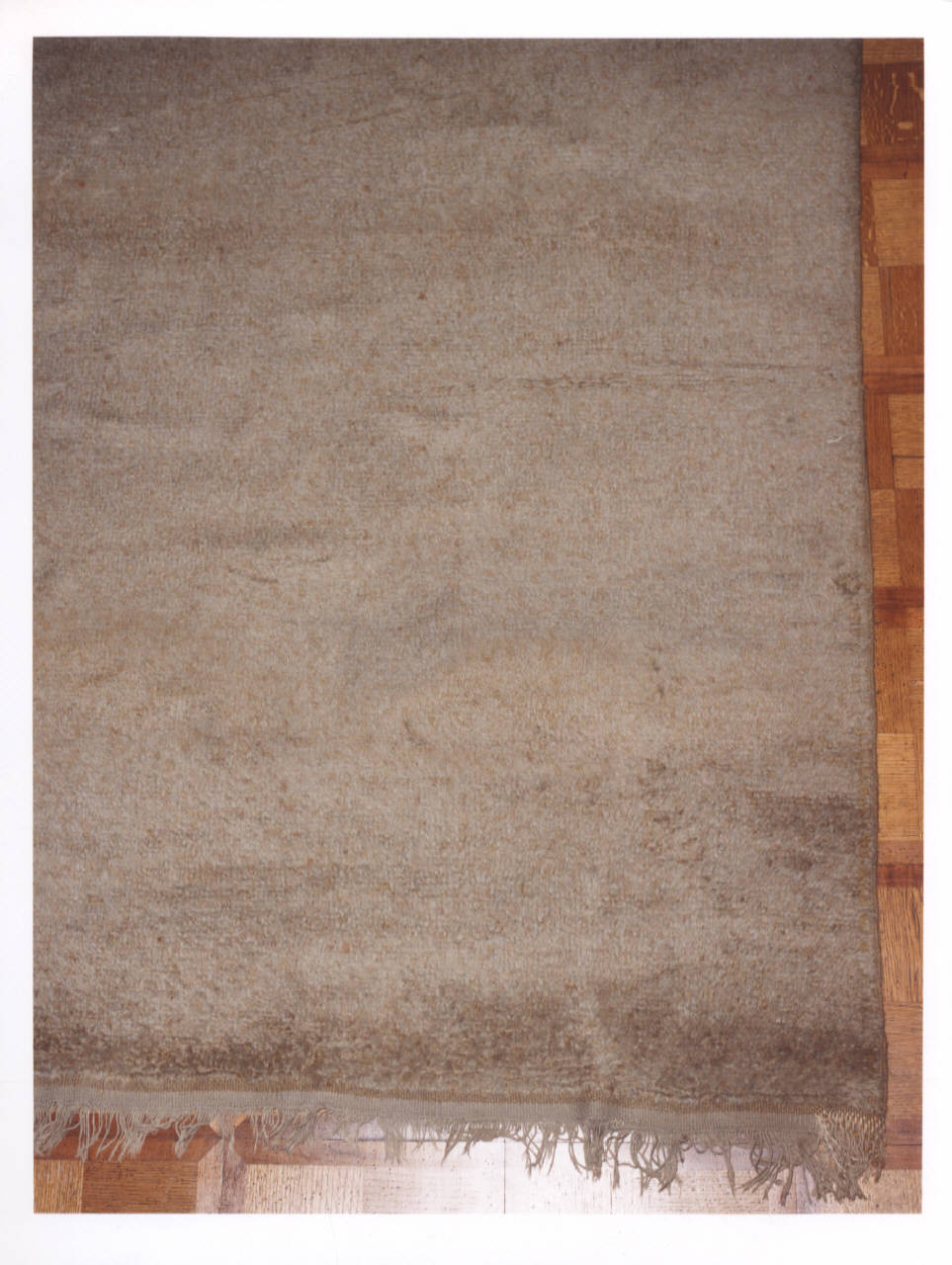 tappeto - manifattura italiana (?) (metà sec. XX)