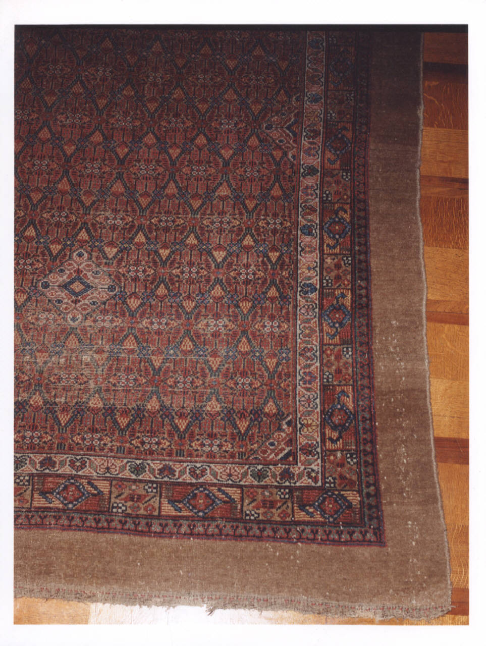 tappeto - manifattura orientale (inizio sec. XX)