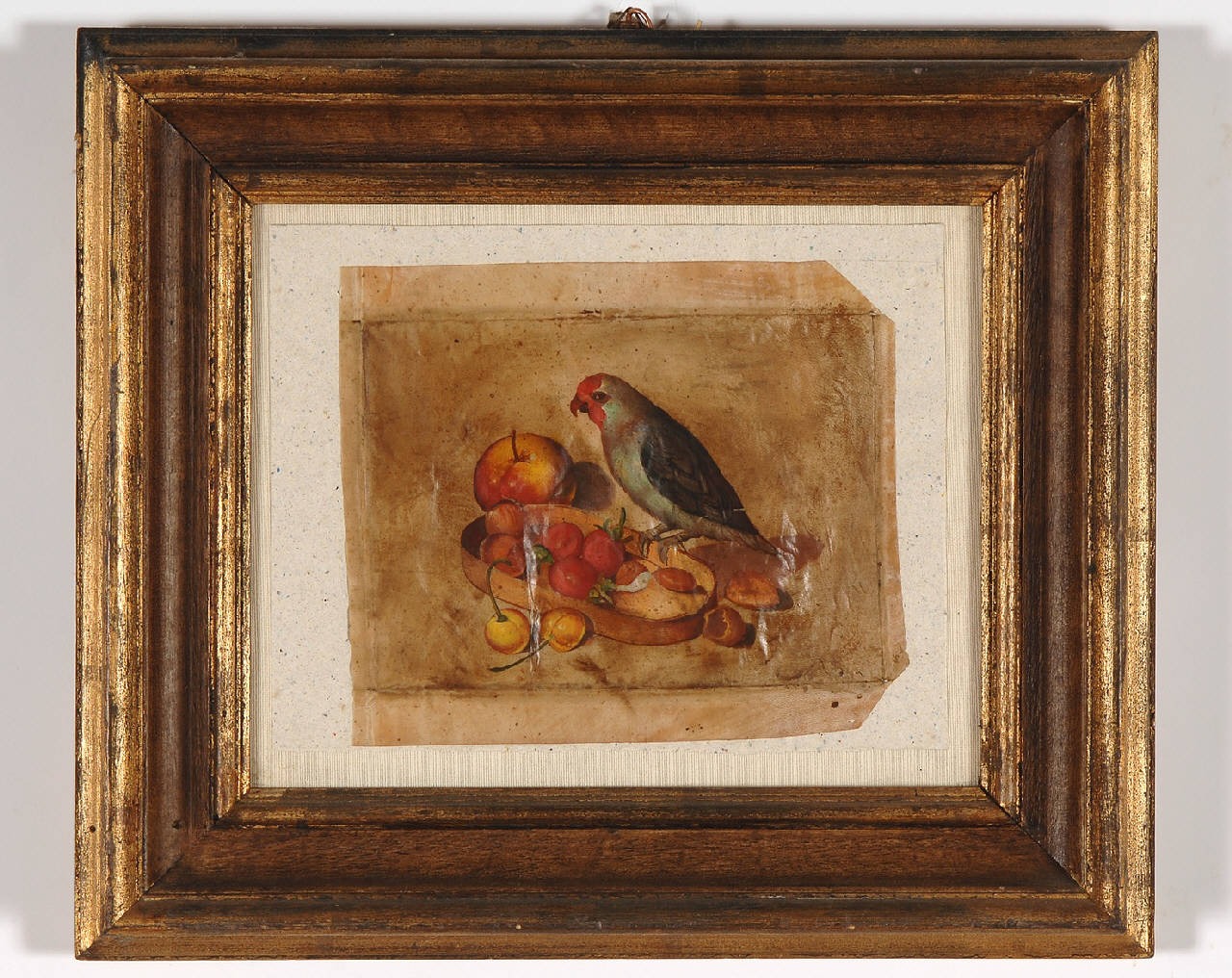 natura morta con pappagallo (dipinto) - ambito Italia settentrionale (sec. XVIII)