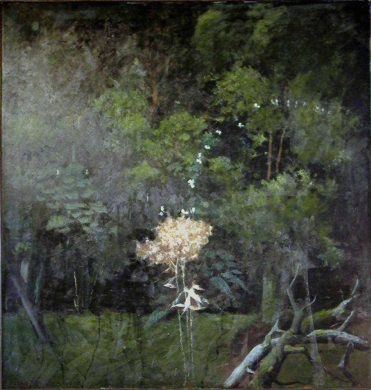 Fiore secco e farfalle, Bosco con fiore secco e farfalle (dipinto) di Repossi Giovanni (sec. XX)