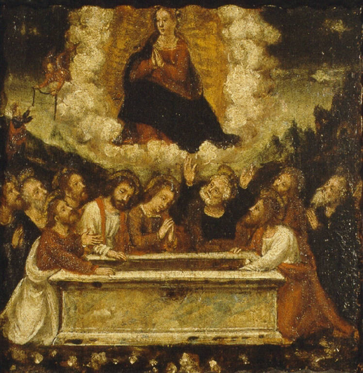 LA MADONNA ASSUNTA IN CIELO (dipinto) di De Barberis Vincenzo (bottega) (metà sec. XVI)