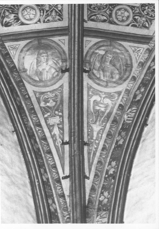 MOTIVI DECORATIVI A GROTTESCHE CON ANGELI (dipinto murale) (inizio sec. XVI)