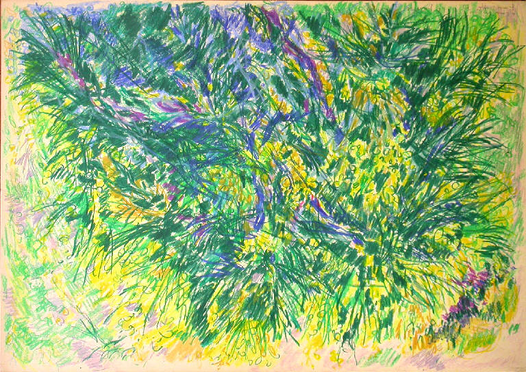 Le ginestre, Fiore (disegno) di Maffei Gina (sec. XX)