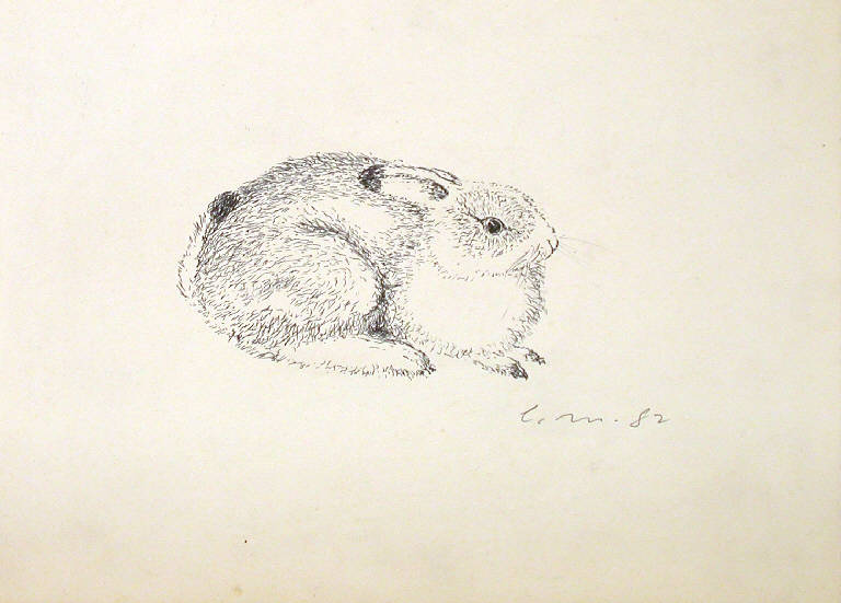 Senza titolo, Coniglio (disegno) di Marzot Livio (sec. XX)