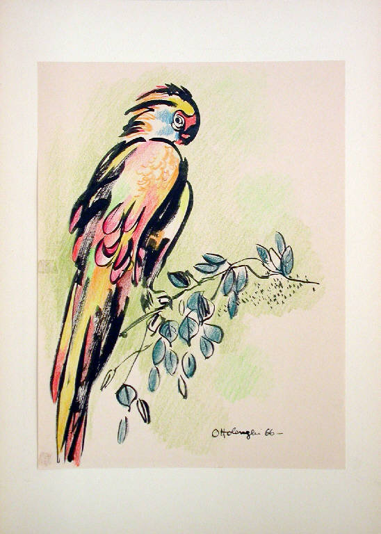 Senza titolo, Uccello (disegno) di Ottolenghi Roberta (sec. XX)