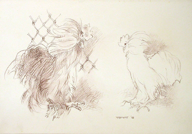 Senza titolo, Gallo e gallina (disegno) di Viganone Antonietta (sec. XX)