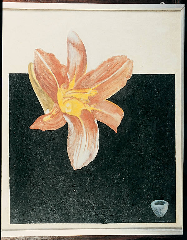 Il fiore e la ciotola d'acqua, Fiore (dipinto) di Cesana Angelo (sec. XX)