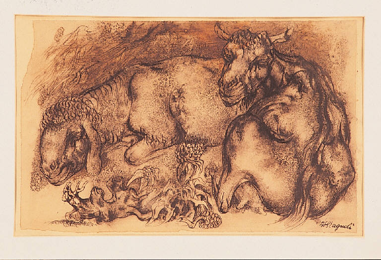 Pecore, ANIMALI (disegno) di Stagnoli Antonio (seconda metà sec. XX)