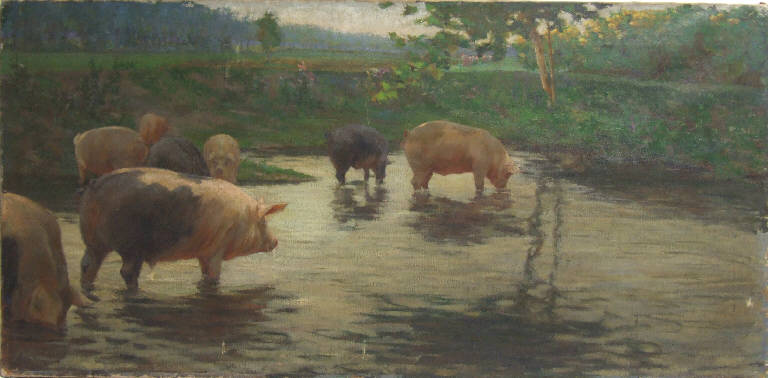 Studio di maiali, ANIMALE (dipinto) di Cinotti, Guido (sec. XIX)