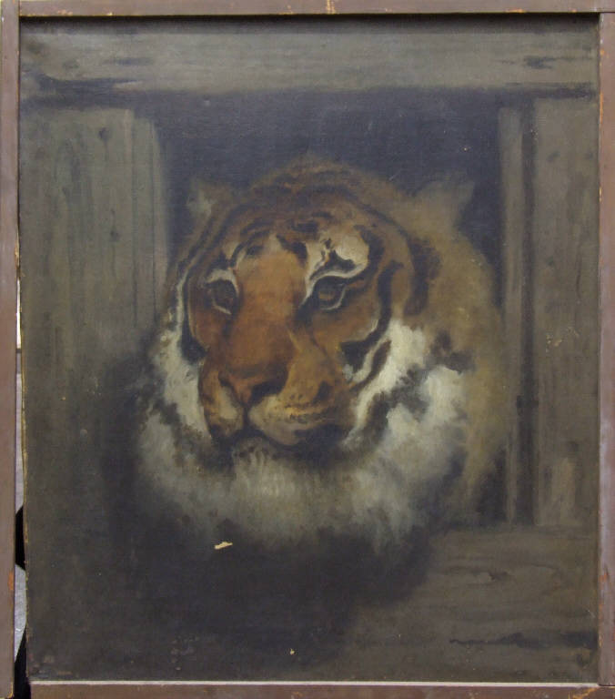 Testa di tigre, TIGRE (dipinto) di Hayez, Francesco (sec. XIX)