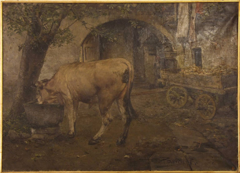 Cortile con bove, Cortile con bove (dipinto) di Paoletti, Rodolfo (sec. XIX)