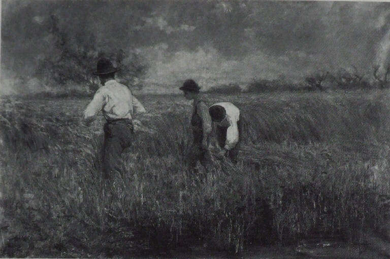 Nei campi (La mietitura), La mietitura (dipinto) di Bersani, Stefano (sec. XIX)