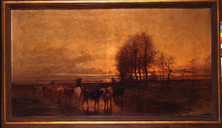 Animali condotti ad abbeverare al tramonto, MUCCHE E GREGGE CON CONTADINA (dipinto) di Pittara Carlo (terzo quarto sec. XIX)