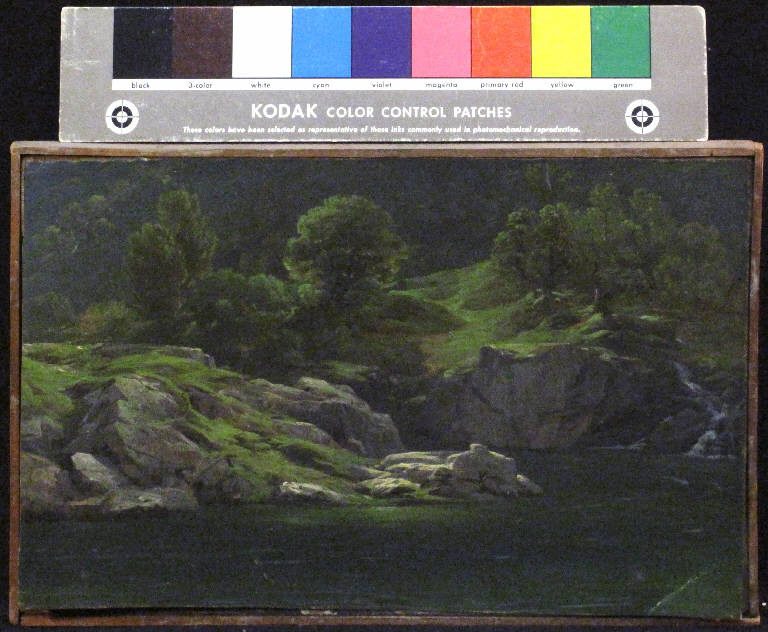 Studio di torrente, PAESAGGIO FLUVIALE (dipinto) di Prinetti Costantino (metà sec. XIX)