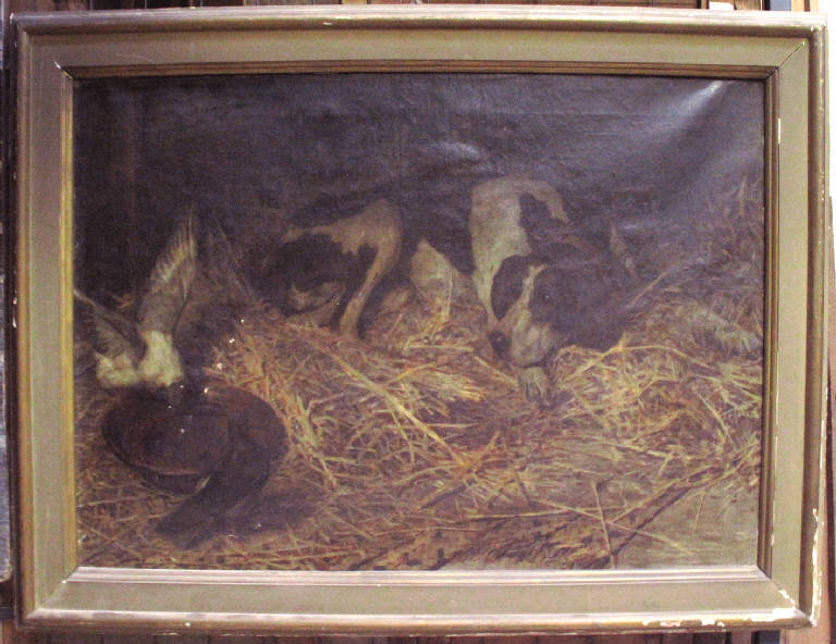 Canile: il supplizio di Tantalo, CANE NELLA PAGLIA E DUE PICCIONI (dipinto) di Vanotti Alessandro (ultimo quarto sec. XIX)