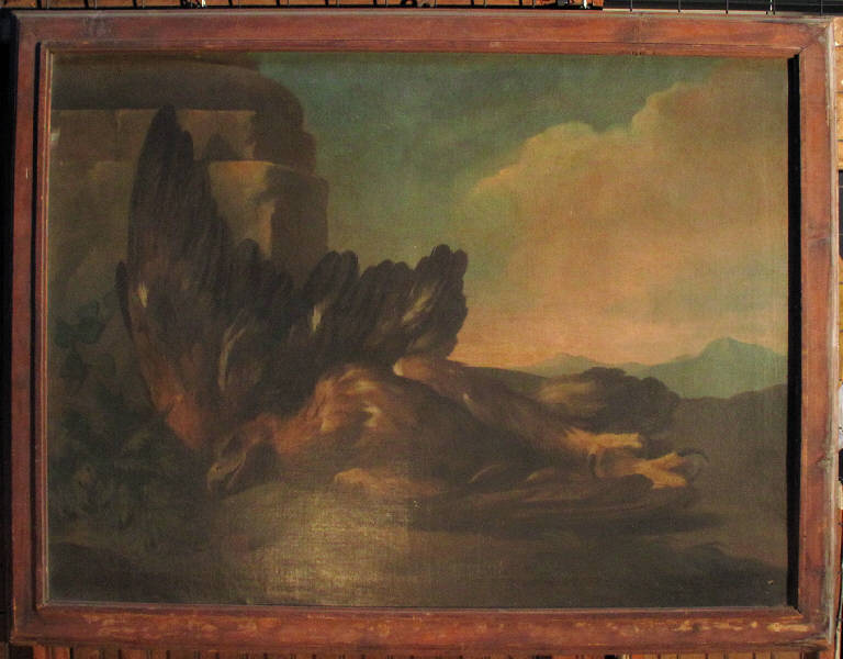 Aquila morta, AQUILA MORTA (dipinto) di pittore ignoto (metà sec. XVIII)