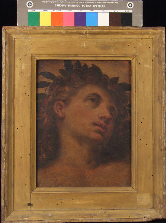 Figura allegorica, TESTA CORONATA D'ALLORO (dipinto) di pittore ignoto
