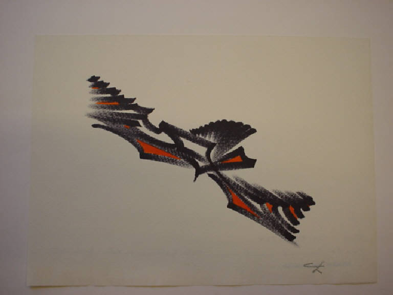 Gabbiano in volo, ANIMALI (disegno) di Zannerio Carlo (sec. XX)