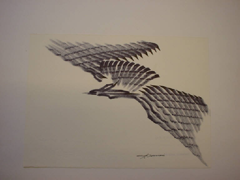 Il volo, ANIMALI (disegno) di Zannerio Carlo (sec. XX)