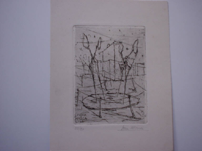 Insetto forbici (disegno) di Mosca Ivan (sec. XX)