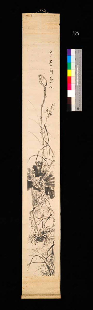 erbe, rami fioriti e granchio (dipinto) - ambito giapponese (secc. XVIII/ XIX)