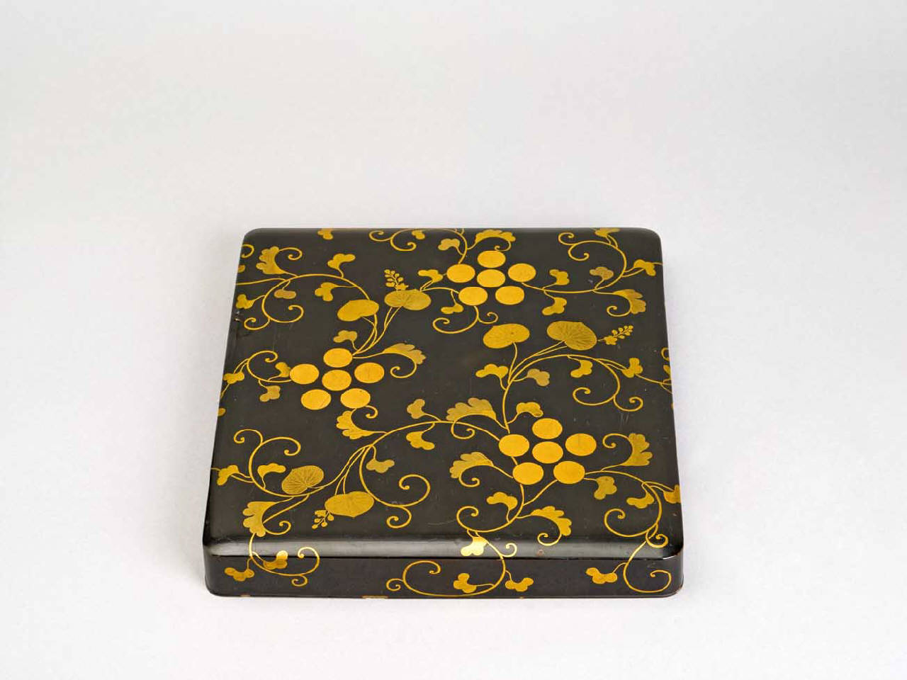 tralci fitomorfi (coperchio di scatola per calligrafia) - manifattura giapponese (sec. XIX)