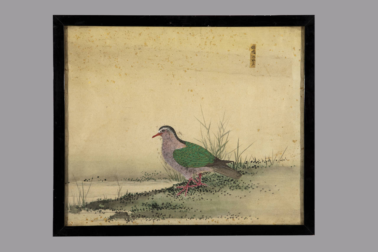 uccello (dipinto) - manifattura giapponese (sec. XIX)