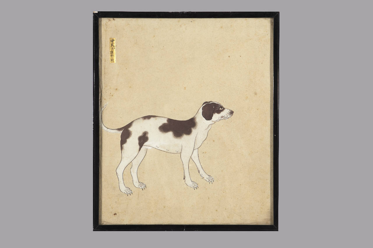 cane (dipinto) - manifattura giapponese (sec. XIX)