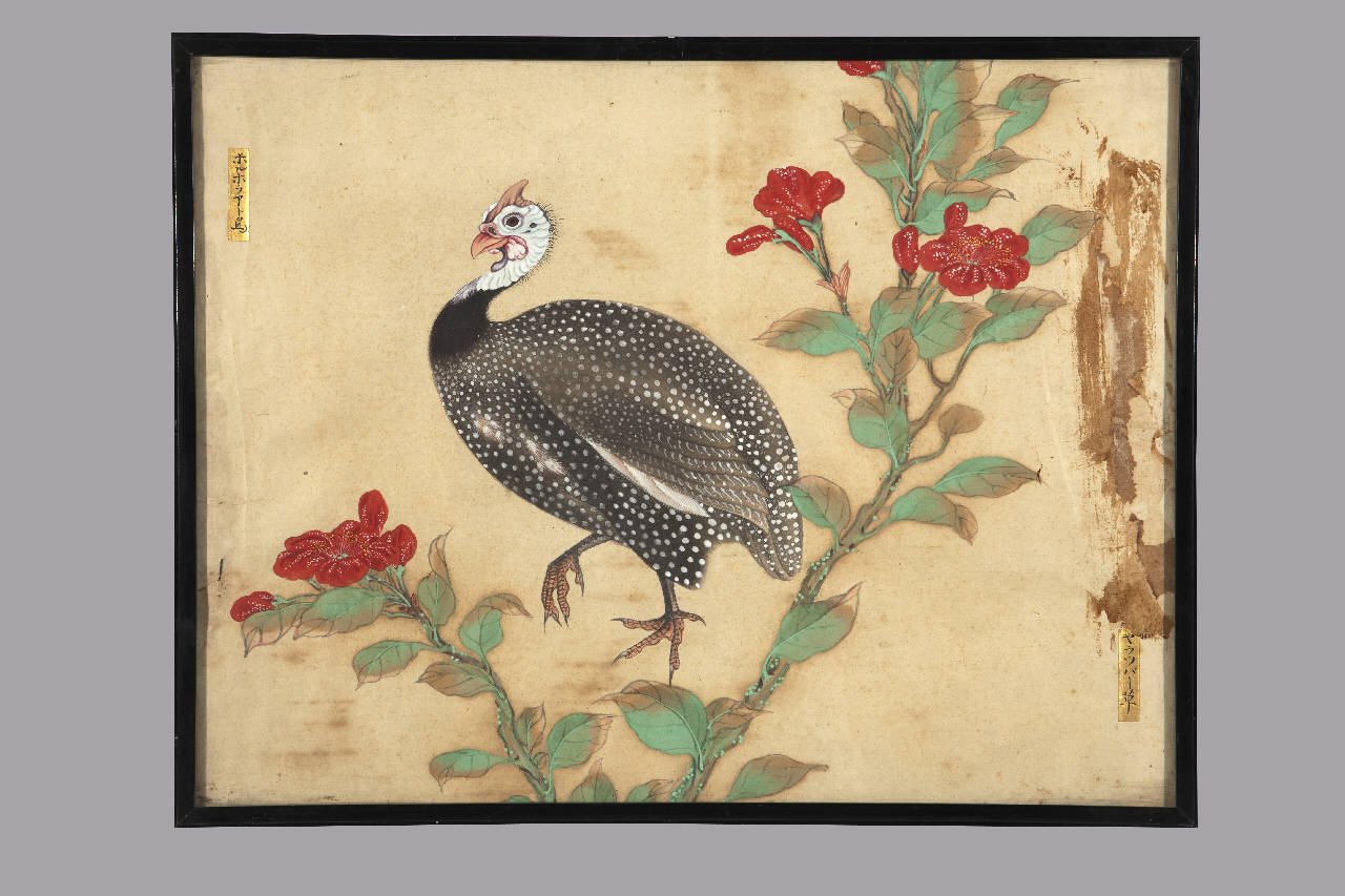 fiori e uccelli (dipinto) - manifattura giapponese (sec. XIX)
