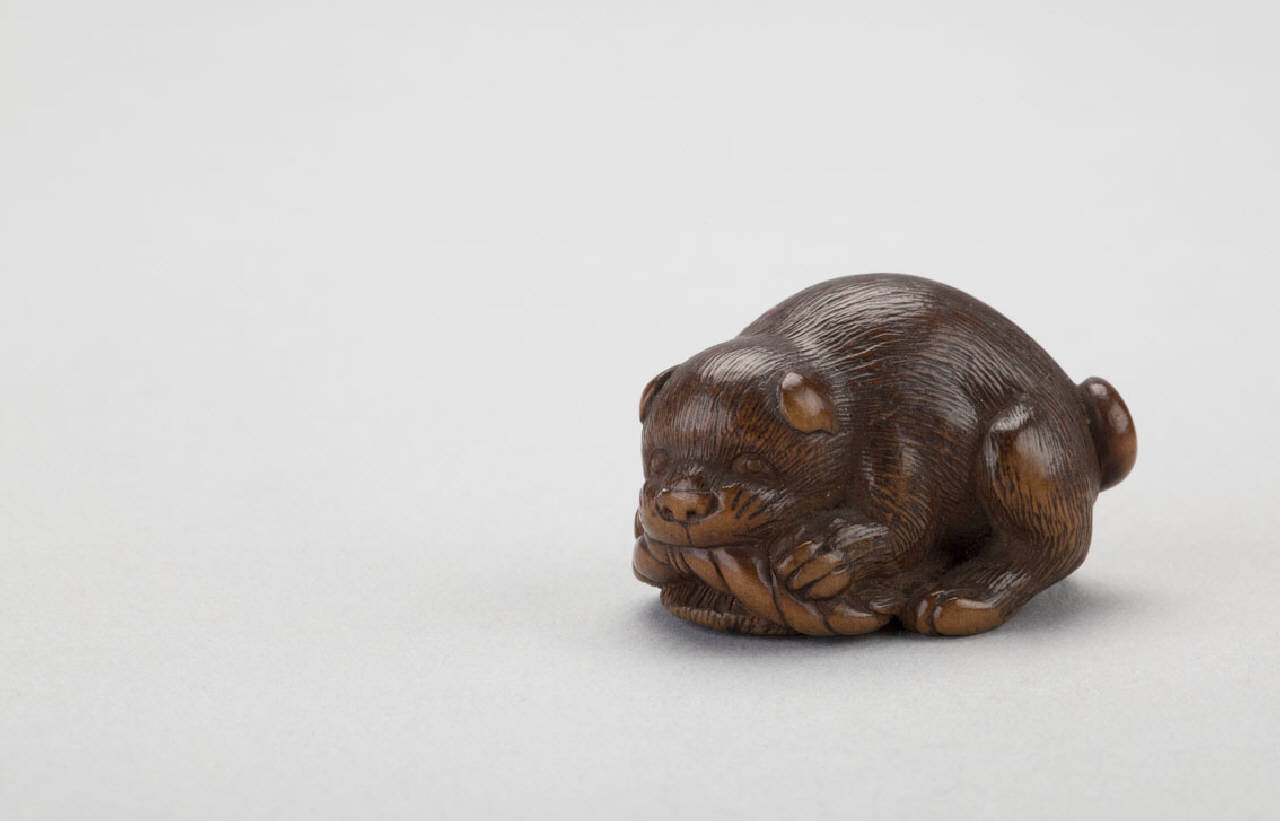 cane (netsuke) - manifattura giapponese (sec. XIX)