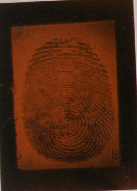 Impressione di un'impronta, impronta digitale (dipinto) di Barlusconi (sec. XX)