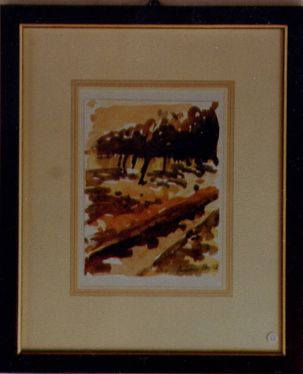 Acquarello, alberi (dipinto) di Marchetti, Antonio (seconda metà sec. XX)