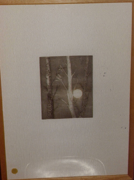 Volo nuziale, tronchi e luna (dipinto) di Bonecchi, Maria Rosa (seconda metà sec. XX)