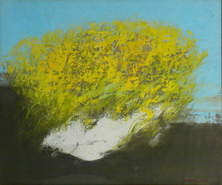 Mimose, FIORI (dipinto) di Cazzaniga Giancarlo (seconda metà sec. XX)
