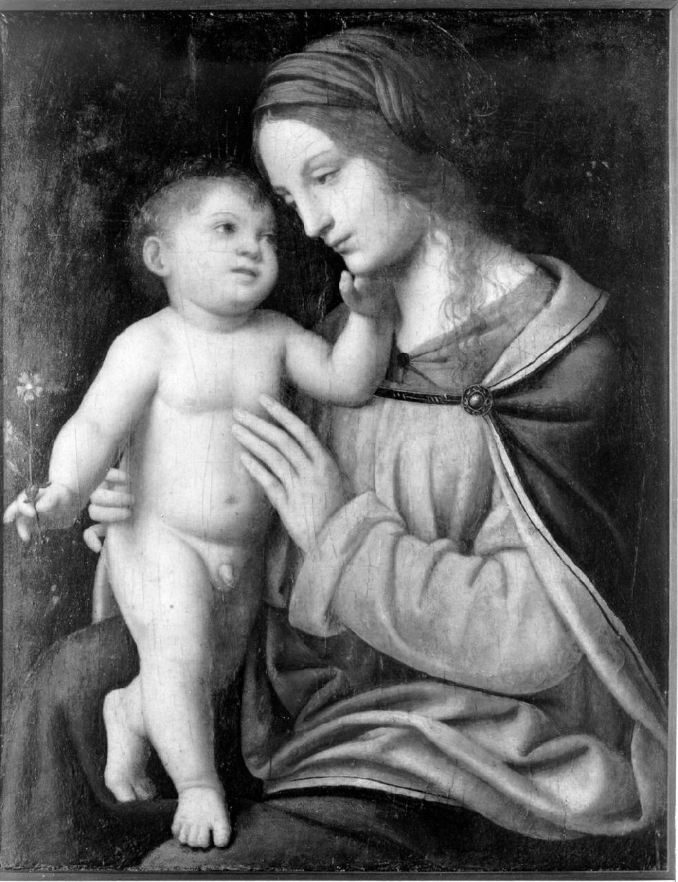 Madonna col Bambino (Madonna Oggioni), Madonna con Bambino (dipinto) di Luini Bernardino - ambito lombardo (secondo quarto sec. XVI)