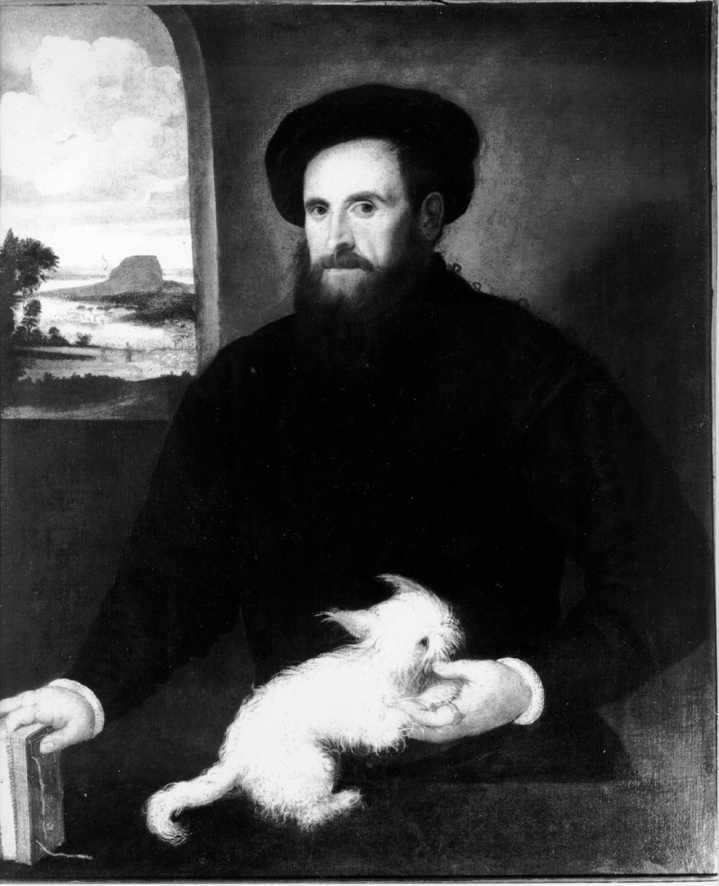 Ritratto di gentiluomo con cagnolino, Ritratto maschile (dipinto) di Sacchiense Antonio - ambito veneto (secondo quarto sec. XVI)