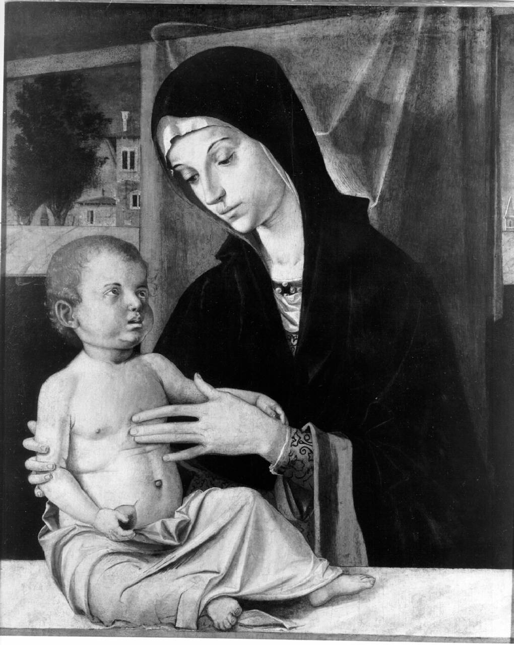 Madonna col Bambino, Madonna con Bambino (dipinto) di Montagna Bartolomeo; Montagna Bartolomeo (; bottega) - ambito veneto (ultimo quarto sec. XV)