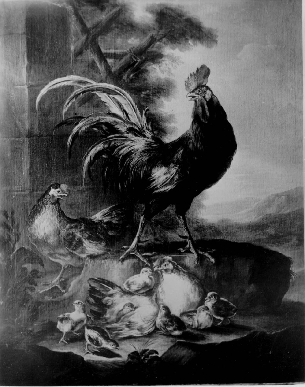 Animali da cortile: gallo, due galline e sette pulcini, Animali da Cortile (dipinto) di Crivelli Angelo Maria detto Crivellone - ambito milanese (prima metà sec. XVIII)