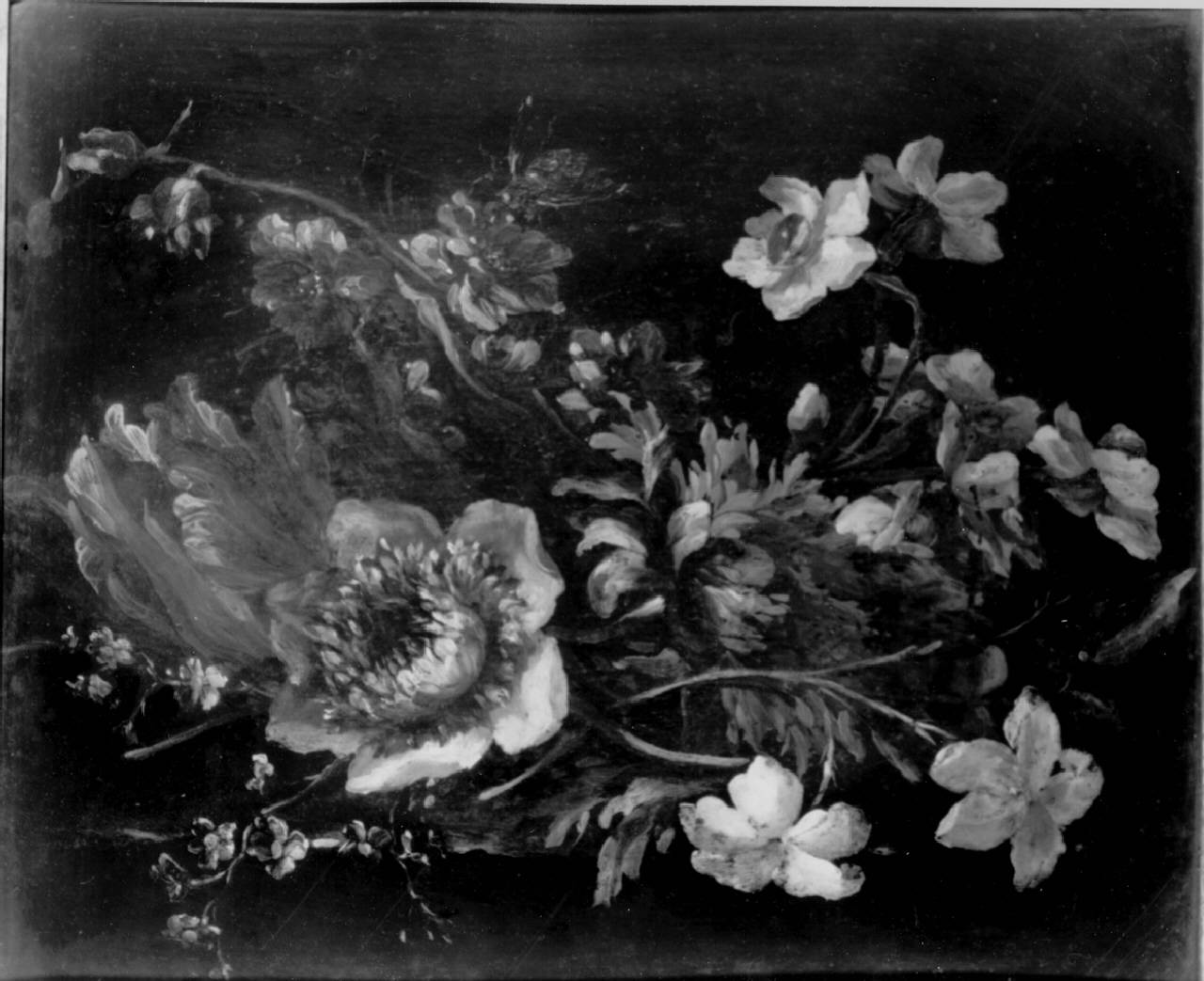 Natura morta con fiori, FIORI (dipinto) di Volò Giuseppe detto Vicenzino (attr.) - ambito lombardo (secc. XVII/ XVIII)