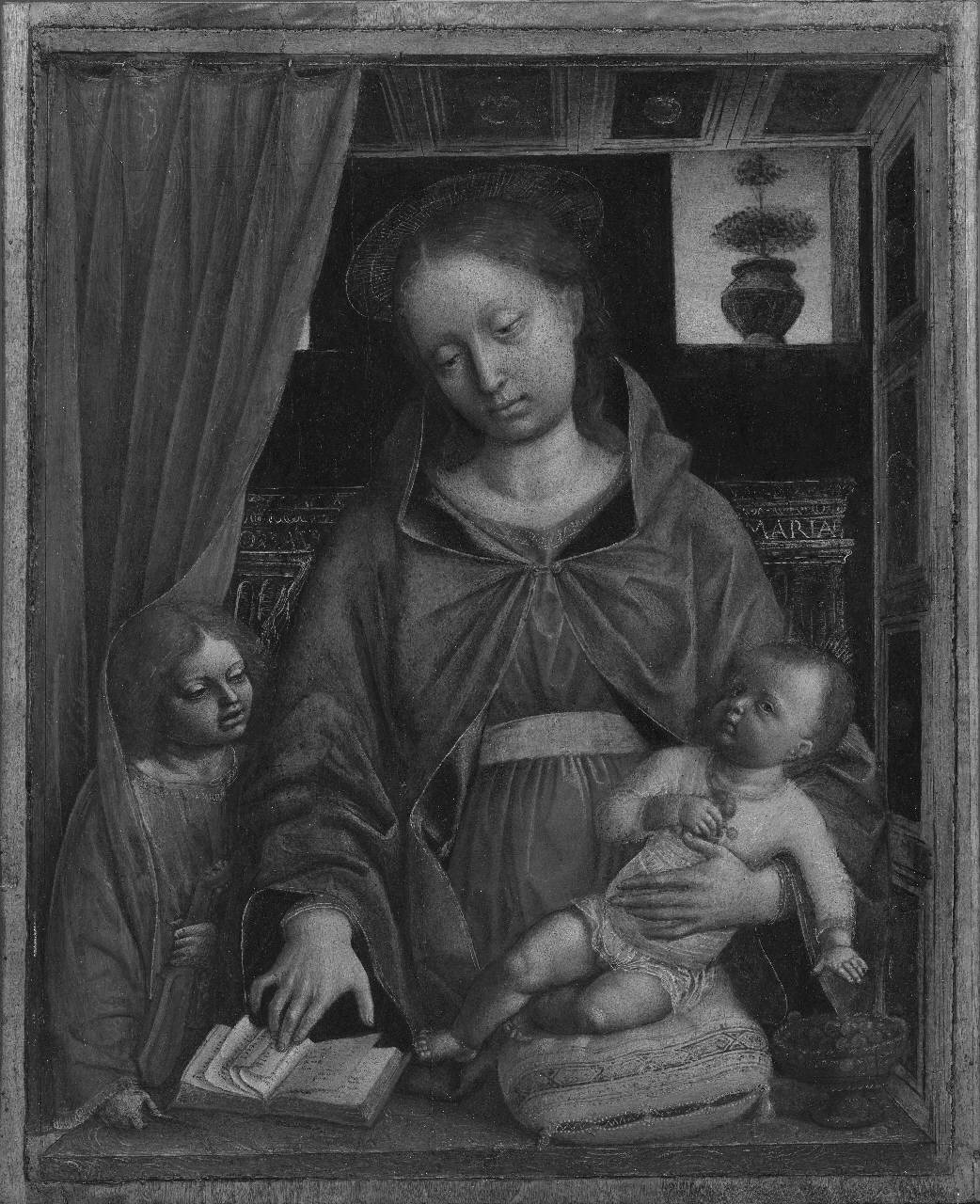 Madonna con Bambino e angelo (dipinto) di Foppa Vincenzo - ambito italiano