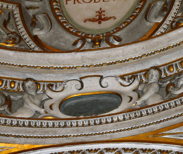 Motivi decorativi a girali vegetali, Cherubini (decorazione plastica) di Colomba, Andrea (sec. XVI)