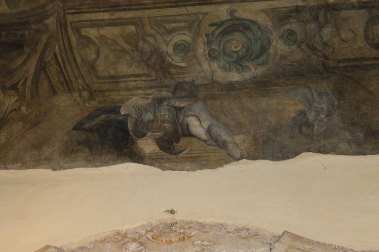 Angioletto con cartiglio e grottesca (dipinto) di Giugno, Francesco (fine/inizio sec. XVI)