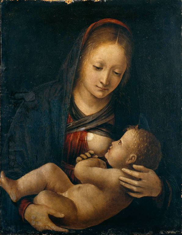 Madonna del Latte (dipinto) di Zenale Bernardino (sec. XVI)