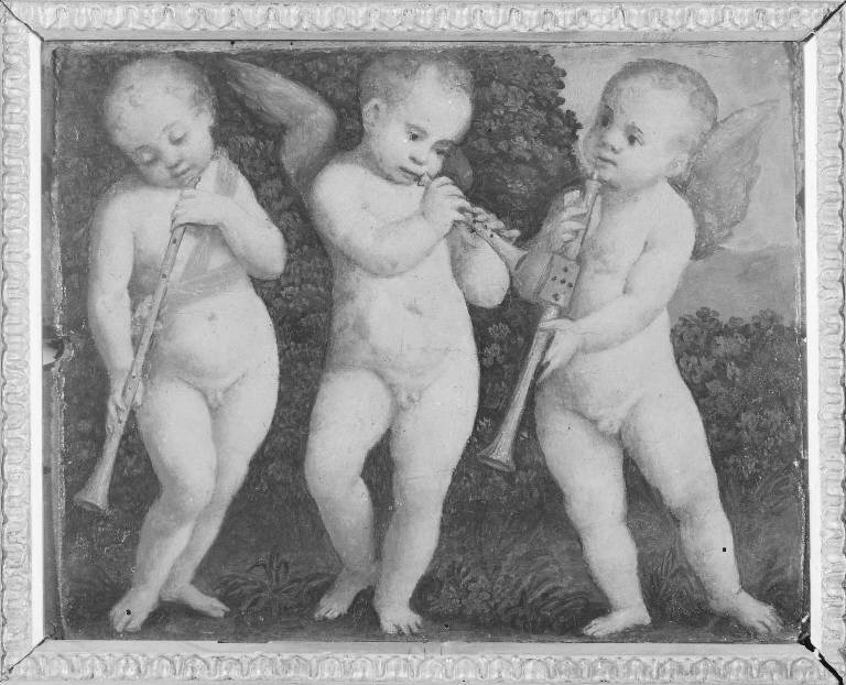 Putti musicanti (dipinto) di Ferrari Gaudenzio (sec. XVI)