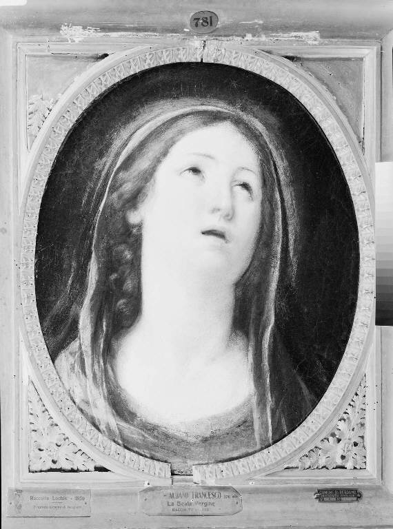 Testa di Madonna (dipinto) di Gessi Francesco (attribuito) (sec. XVII)