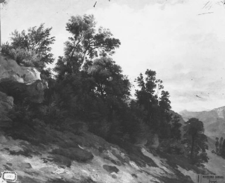Valle Brembana (dipinto) di Rosa Costantino (terzo quarto sec. XIX)
