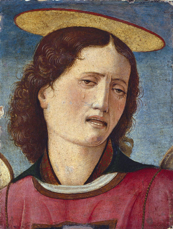 Testa d'angelo (dipinto) di Vicino da Ferrara (sec. XV)