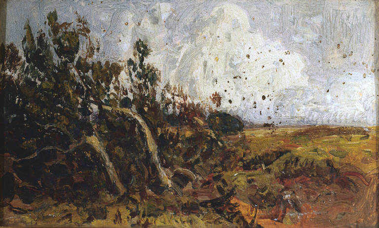 Veduta di brughiera scozzese con alberi piegati dal vento (dipinto) di Mancini Carlo (sec. XIX)