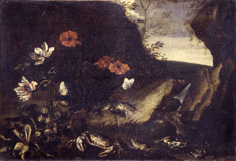 Natura morta con fiori e animali (dipinto) di Recco Giuseppe (attribuito) (sec. XVII)