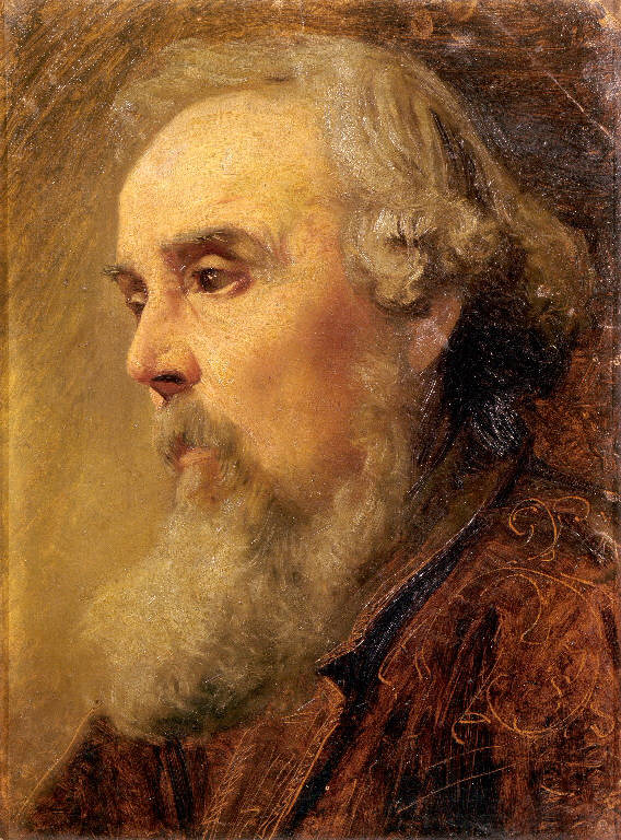 Testa d'uomo anziano (dipinto) di Bertini Giuseppe (sec. XIX)